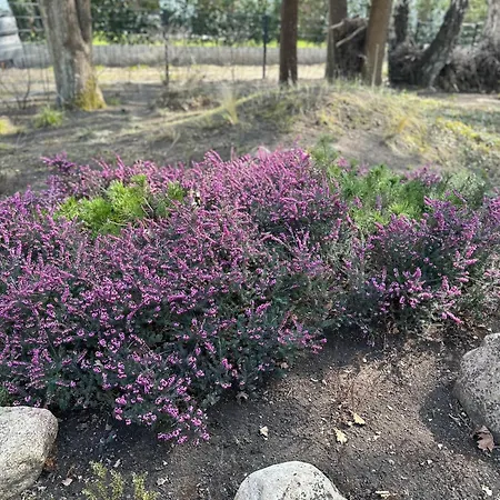 Haus Am Vakantiehuis