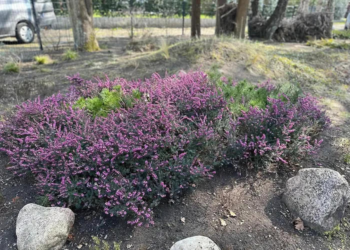 Haus Am بيت للعطل